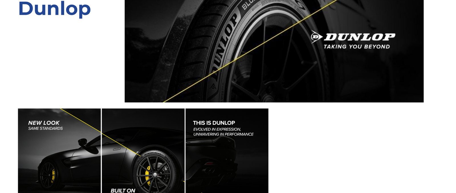 Dunlop project