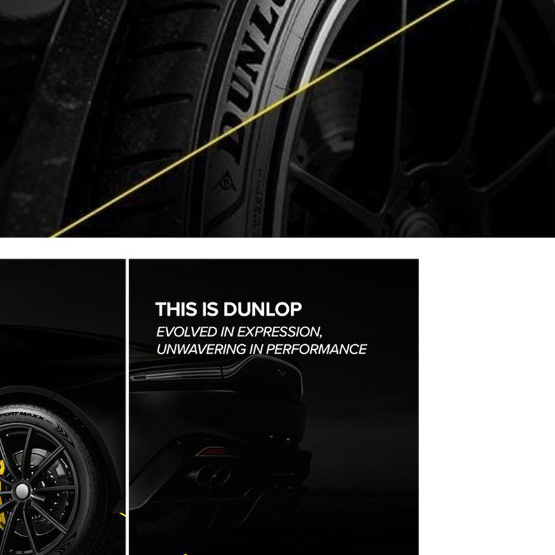 Dunlop project