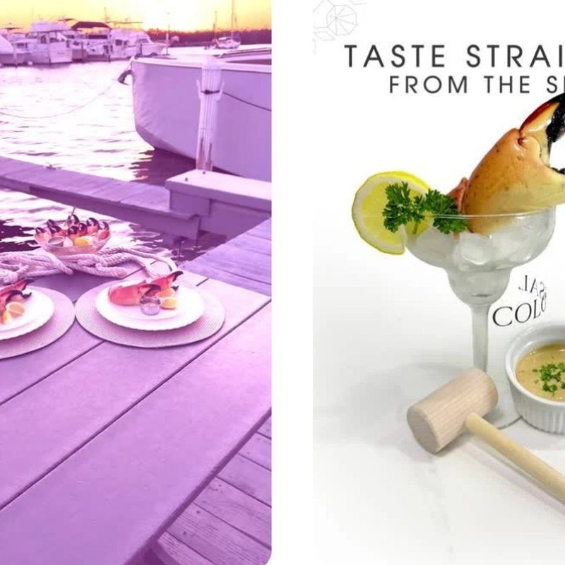 Stone Crab project